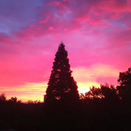 Five Oaks - Gruene * Hohenkirchen (Nordwestmecklenburg)