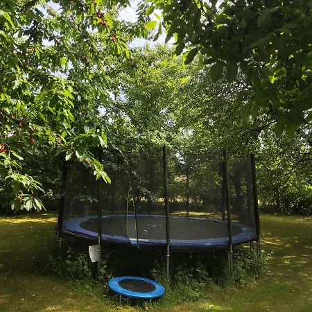 Apartmán Five Oaks - Gruene *