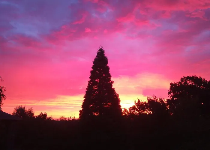 Five Oaks - Gruene * Hohenkirchen (Nordwestmecklenburg)