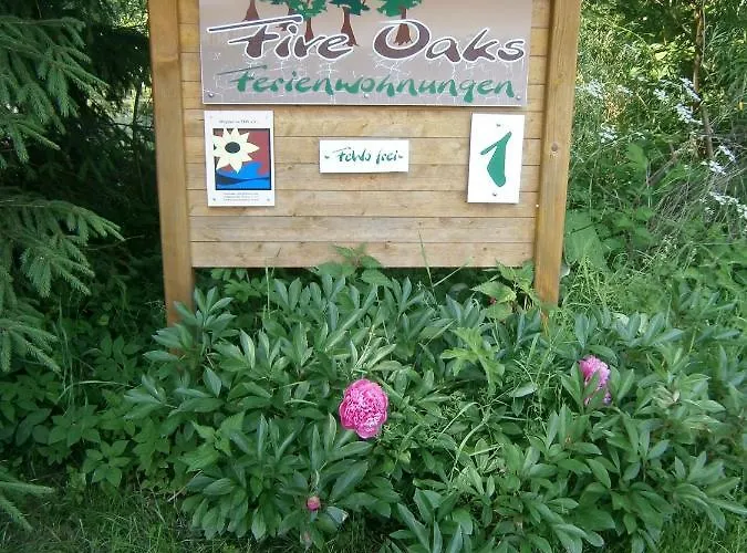 Five Oaks - Gruene Hohenkirchen (Nordwestmecklenburg)