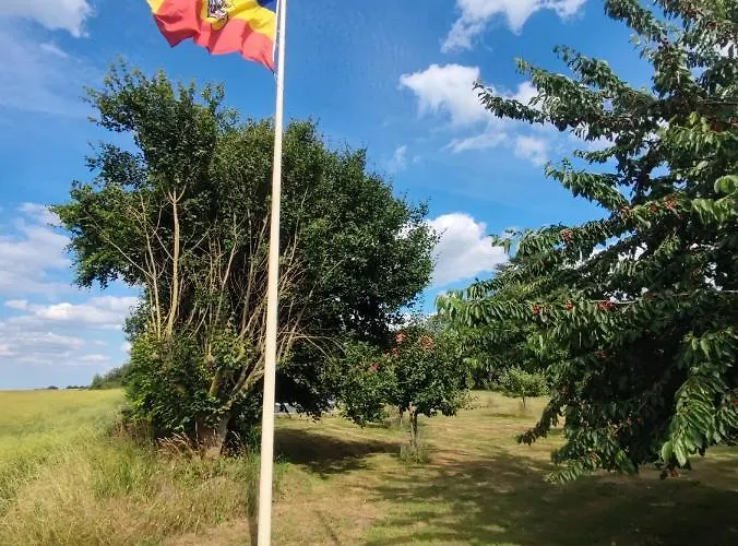 Five Oaks - Gruene Apartamento *