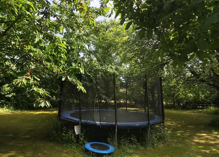 Apartamento Five Oaks - Gruene *